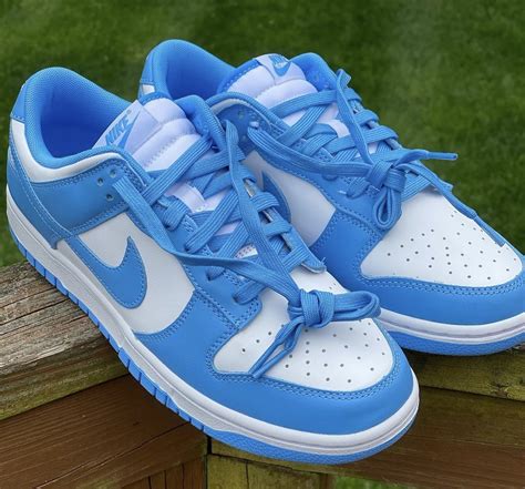 nike dunks blue